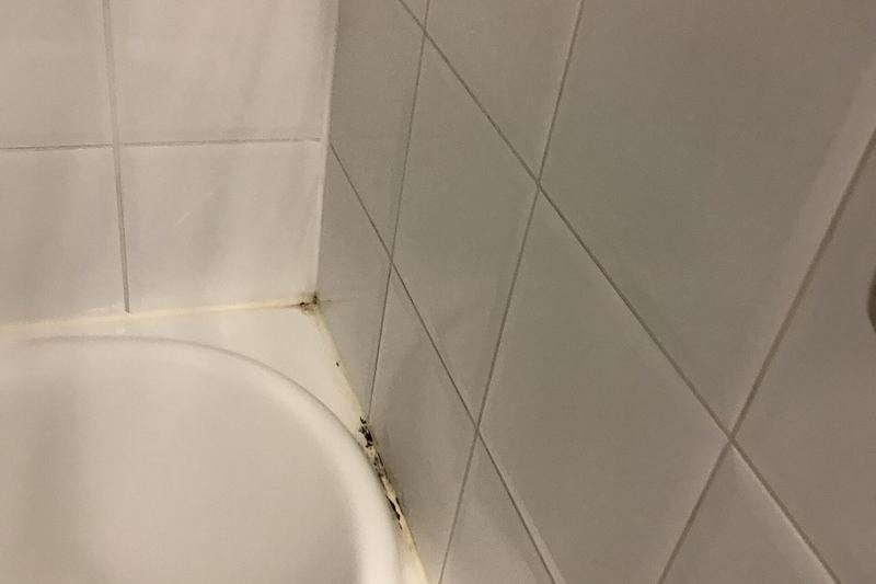 Mould growth on hotel room wall (photo 11)