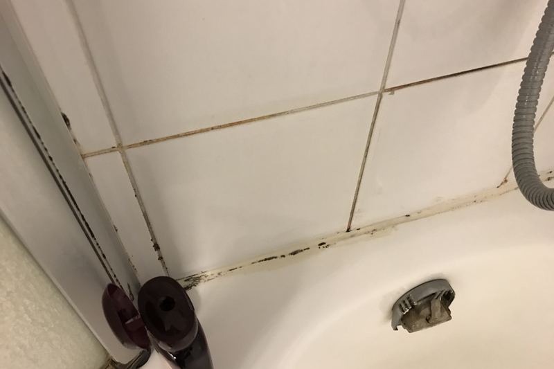 Mould growth on hotel room wall (photo 8)