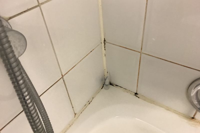 Mould growth on hotel room wall (photo 9)